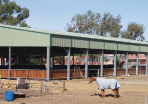 Arenas' | Superior Sheds